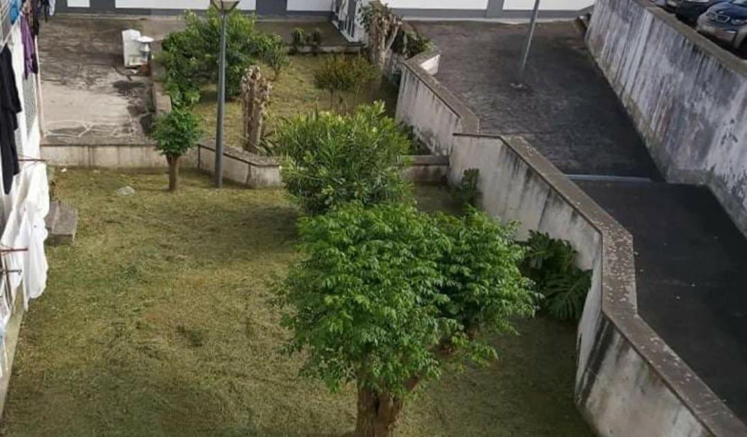 Apartamento Orquidea Ponta Delgada Esterno foto